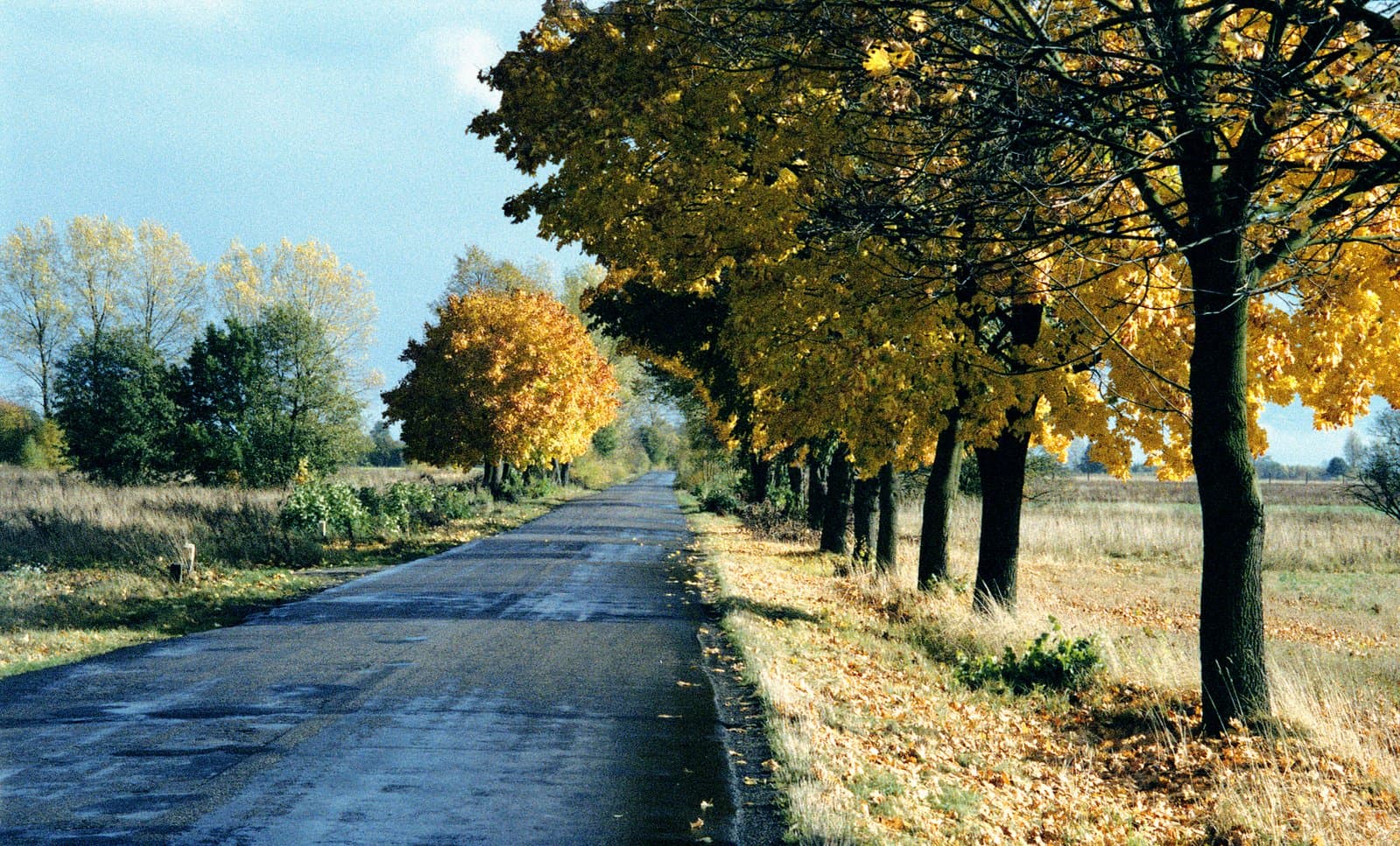 W jakim stanie są drogi krajowe w poszczególnych województwach?